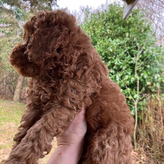 Product image 6 of 9