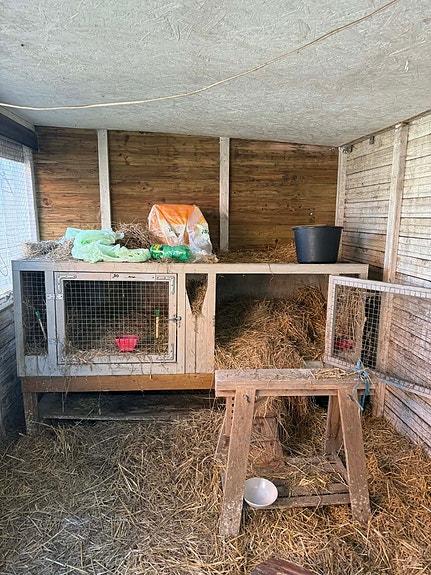 Product image 1 of 6