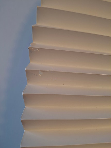 Product image 16 of 16
