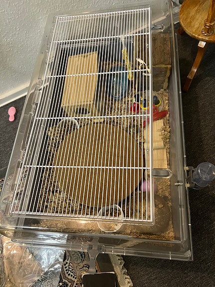 Product image 7 of 7