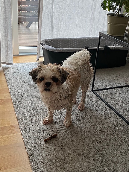 Product image 5 of 9