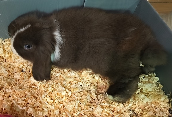 Product image 1 of 5