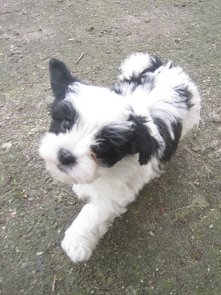 Product image 1 of 10