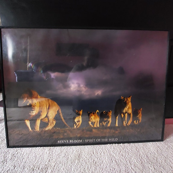Product image 11 of 12