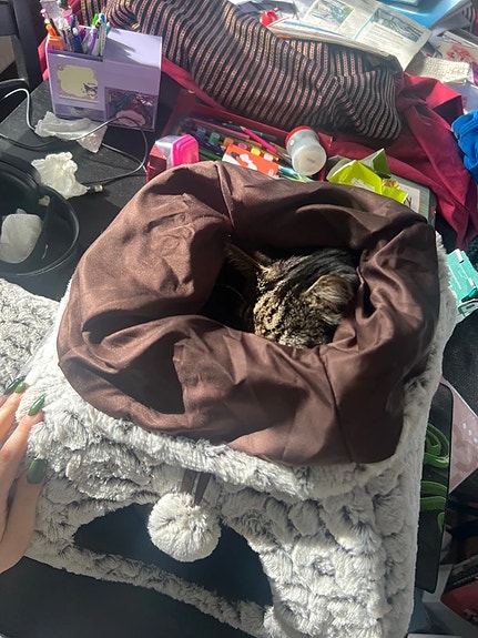 Product image 7 of 9