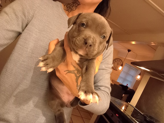 Product image 3 of 6