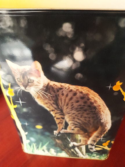 Product image 7 of 9