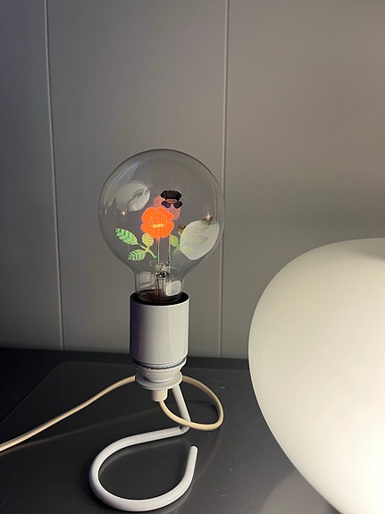 Product image 11 of 14