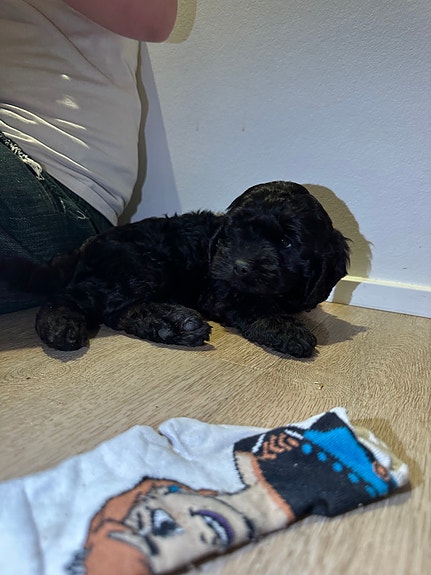 Product image 10 of 10