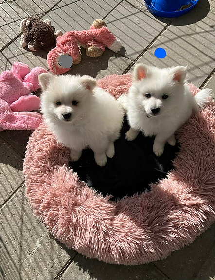 Product image 1 of 6