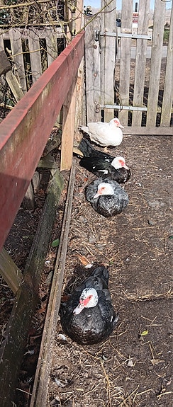 Product image 1 of 10