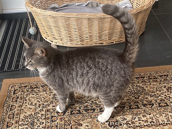 Product image 5 of 10