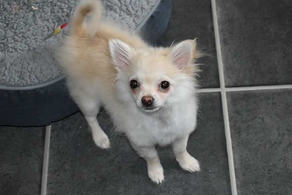 Product image 1 of 10