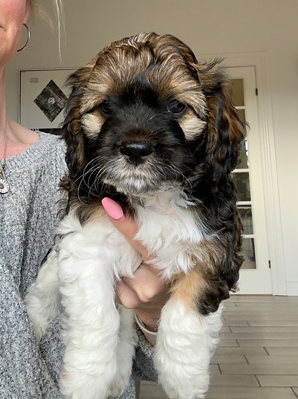 Product image 3 of 10