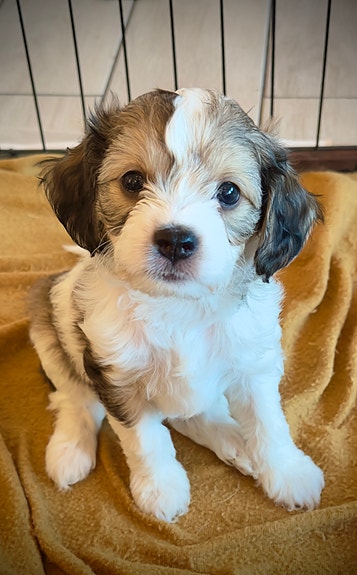 Product image 1 of 10