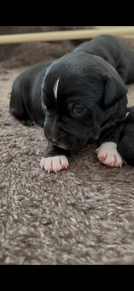 Product image 1 of 10