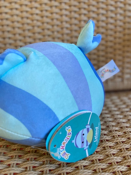 Product image 11 of 12