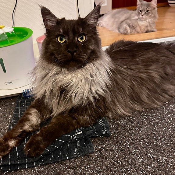 Product image 8 of 9