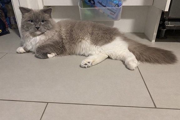 Product image 6 of 9