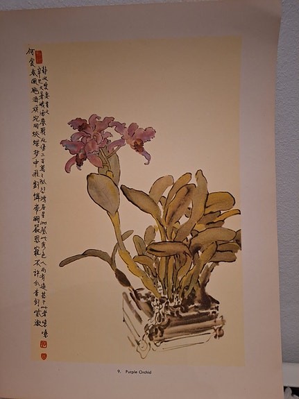 Product image 11 of 14