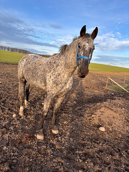 Product image 1 of 10