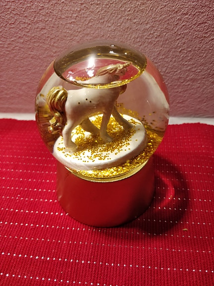 Product image 11 of 12