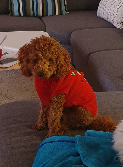 Product image 3 of 4