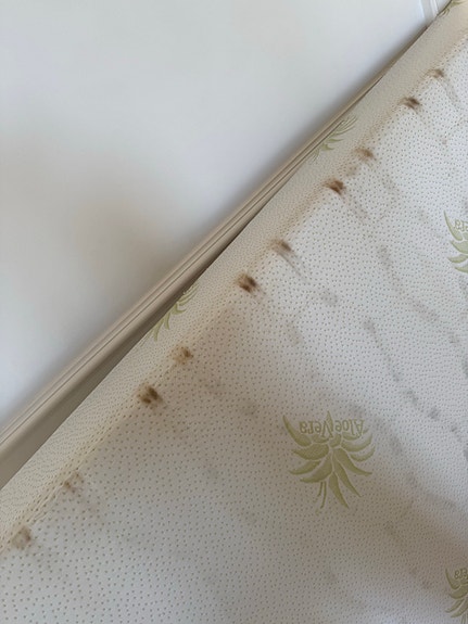 Product image 15 of 15