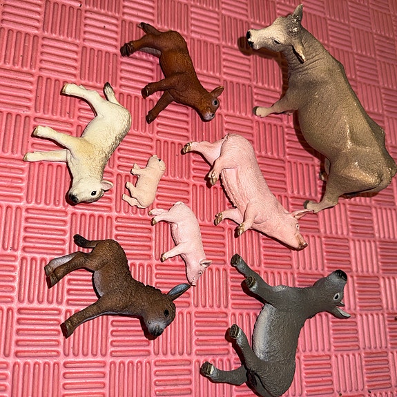 Product image 2 of 9