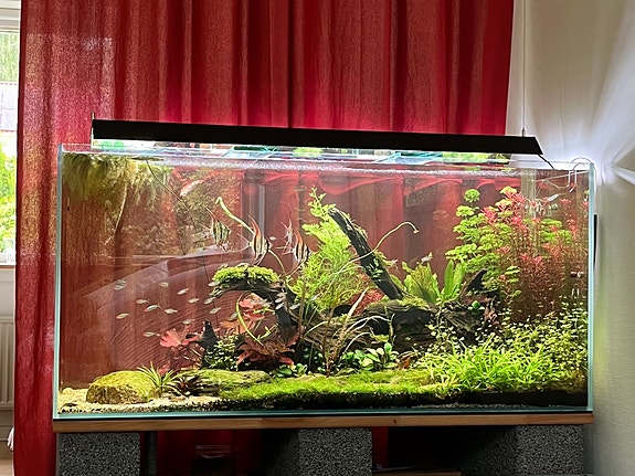 Product image 1 of 10