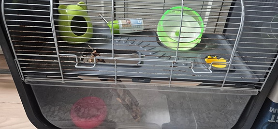 Product image 1 of 4