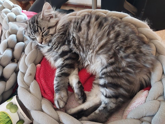 Product image 6 of 8