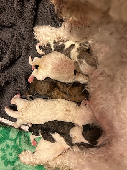 Product image 1 of 10