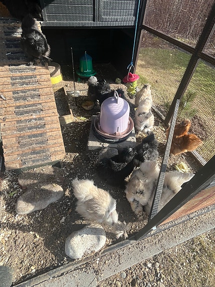 Product image 3 of 10