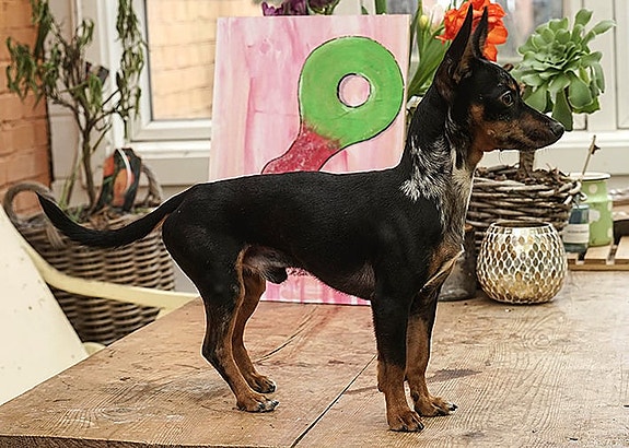 Product image 2 of 8