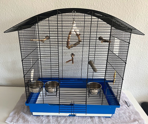 Product image 1 of 10