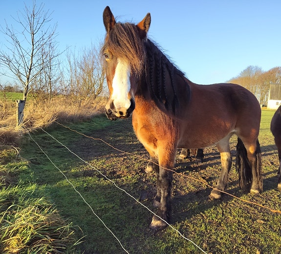 Product image 1 of 10