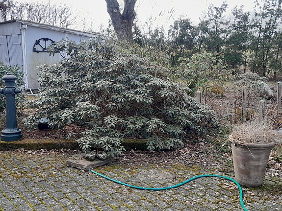 Product image 1 of 10