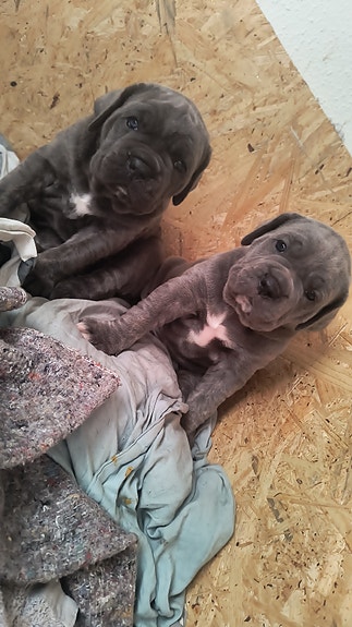 Product image 1 of 8