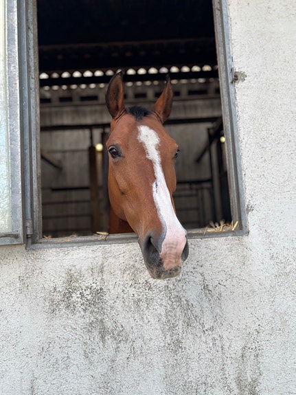 Product image 1 of 10