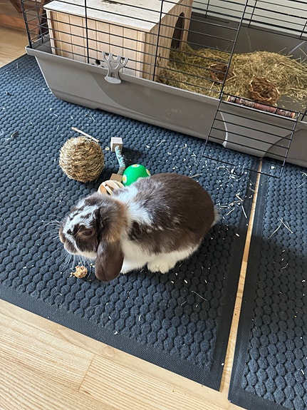 Product image 1 of 6