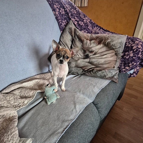 Product image 4 of 4