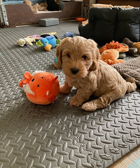 Product image 3 of 10