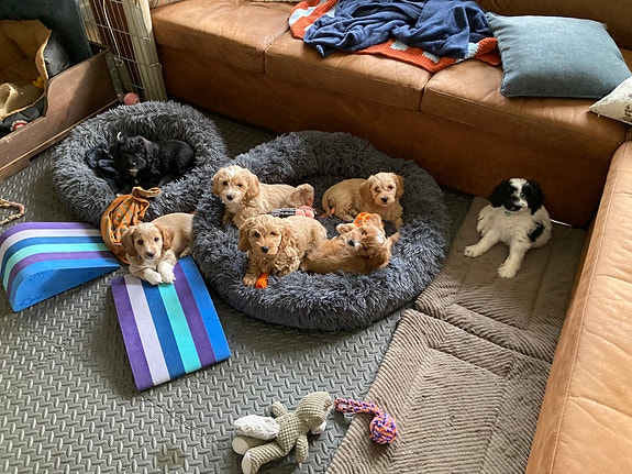 Product image 1 of 10