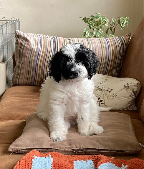 Product image 8 of 10