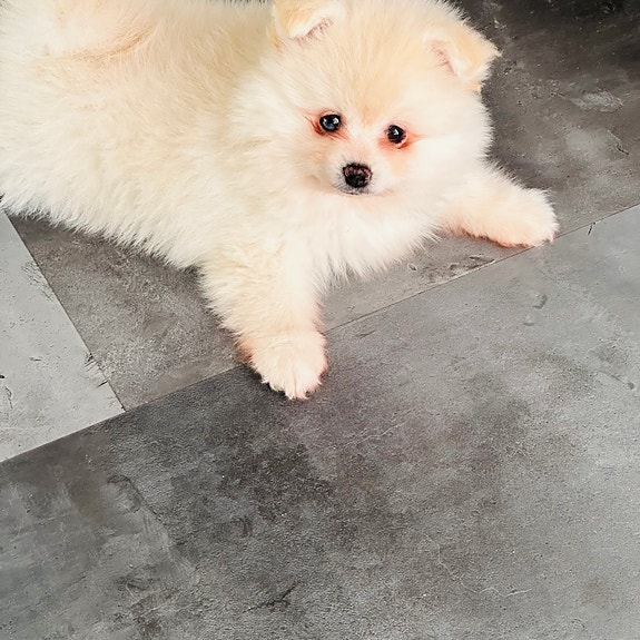 Product image 1 of 10