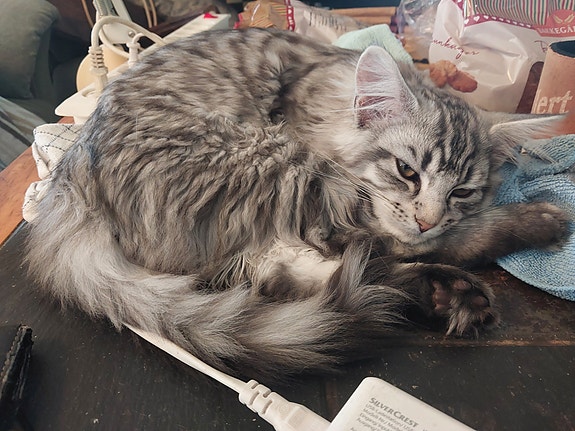 Product image 3 of 8