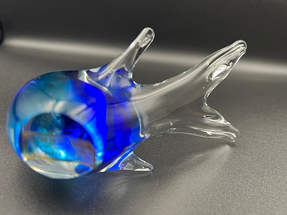 Product image 11 of 13