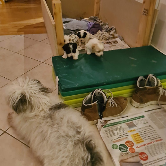 Product image 4 of 10