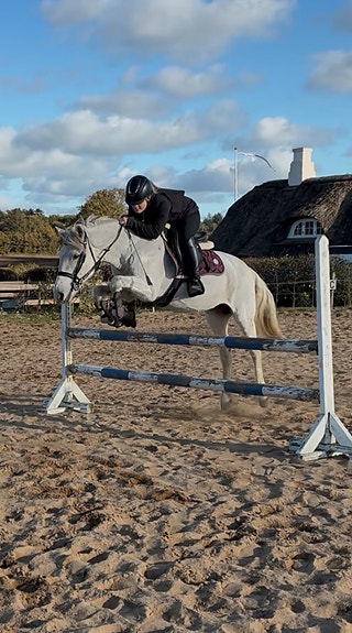 Product image 1 of 10